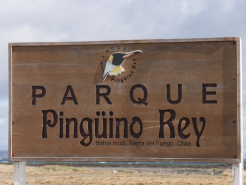 001 Parque Pingüino Rey